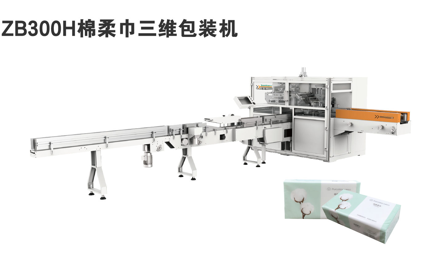 ZB300H1