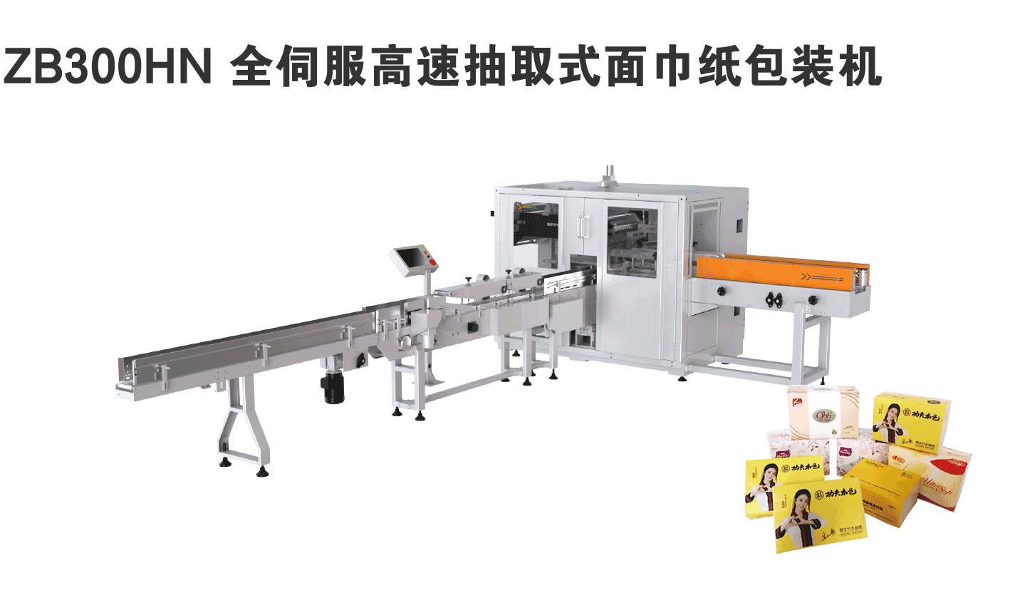 ZB300HN